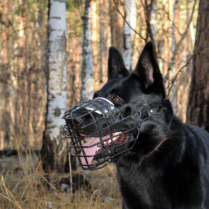 Намордник Gappay
